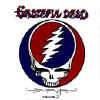 steal your face